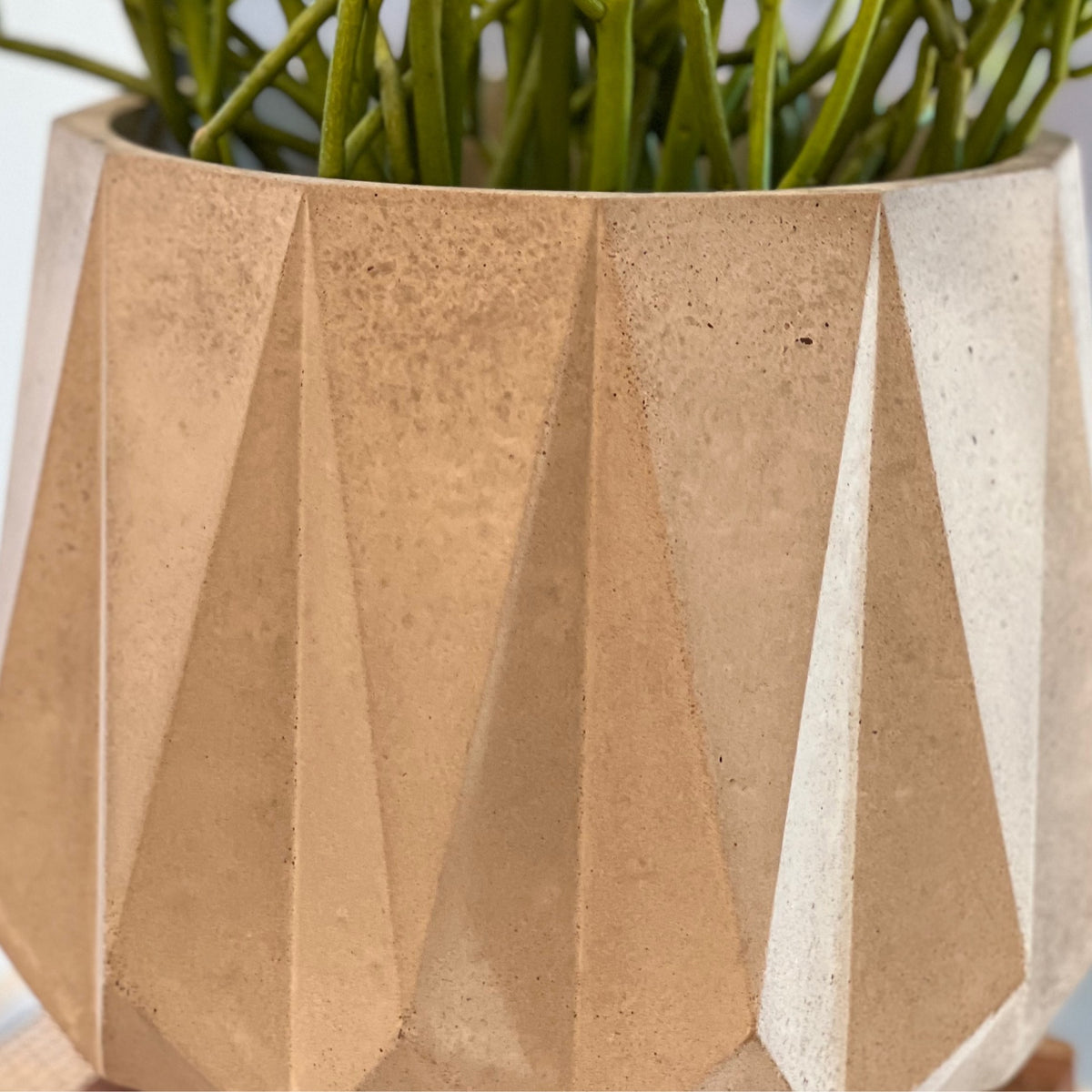 TRAYS-DISH-POTS