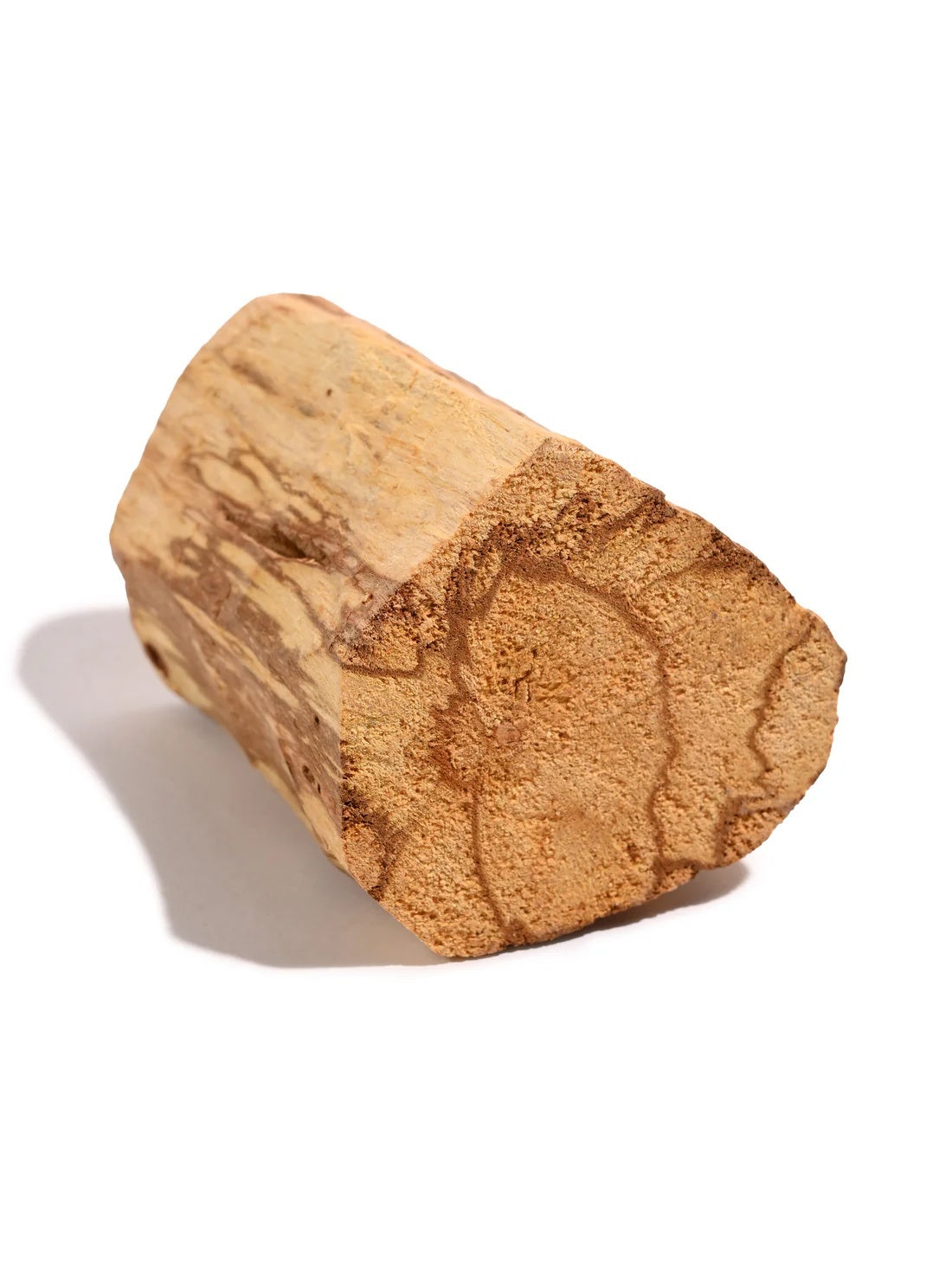 Palo Santo Giant