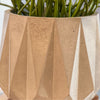 Large Geometric Concrete Planter