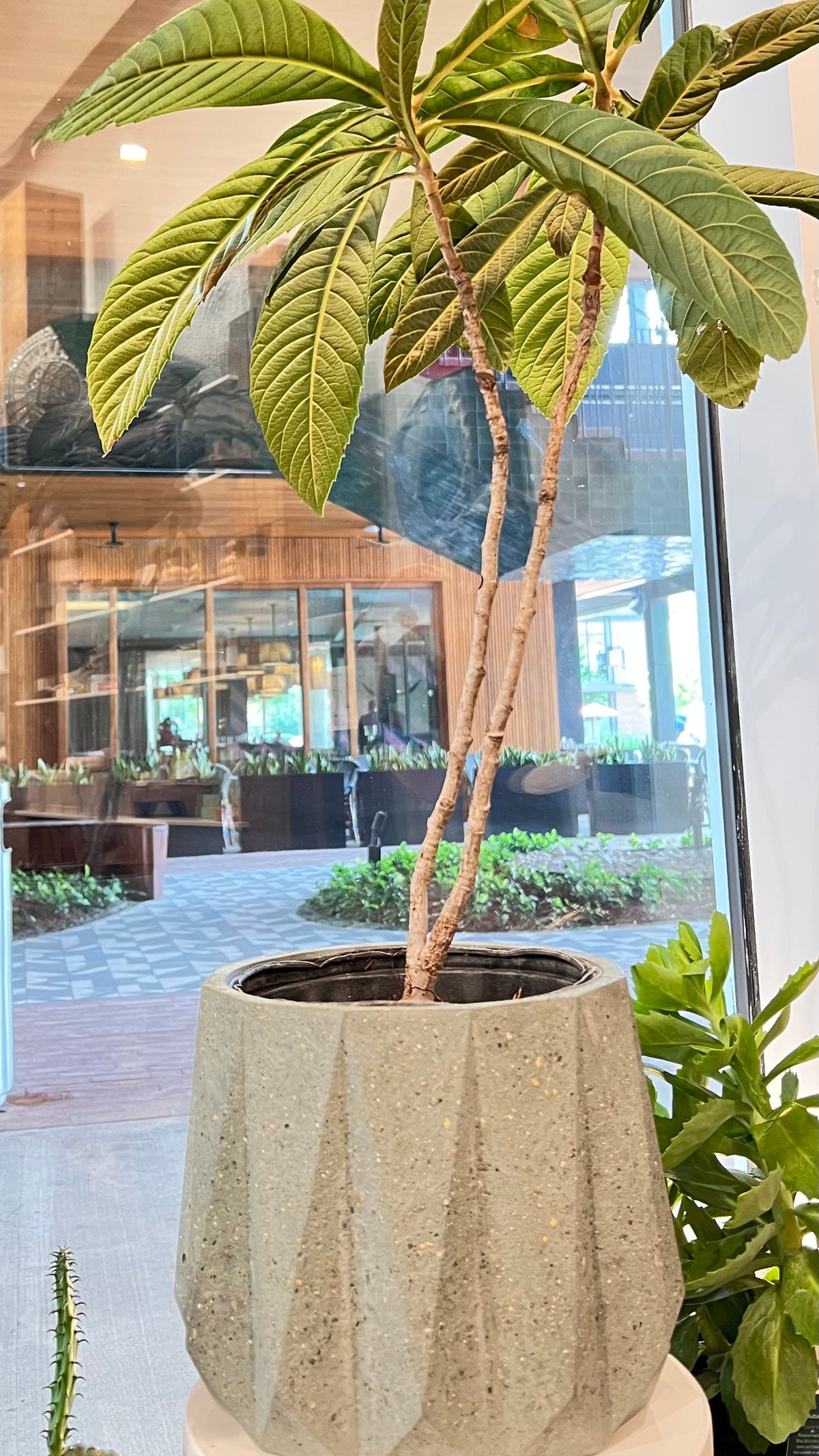 Large Geometric Concrete Planter