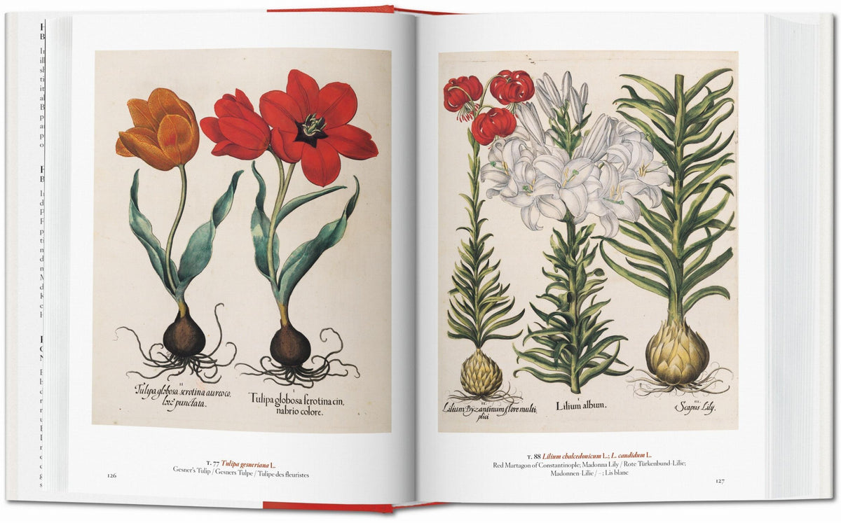 A garden eden book taschen