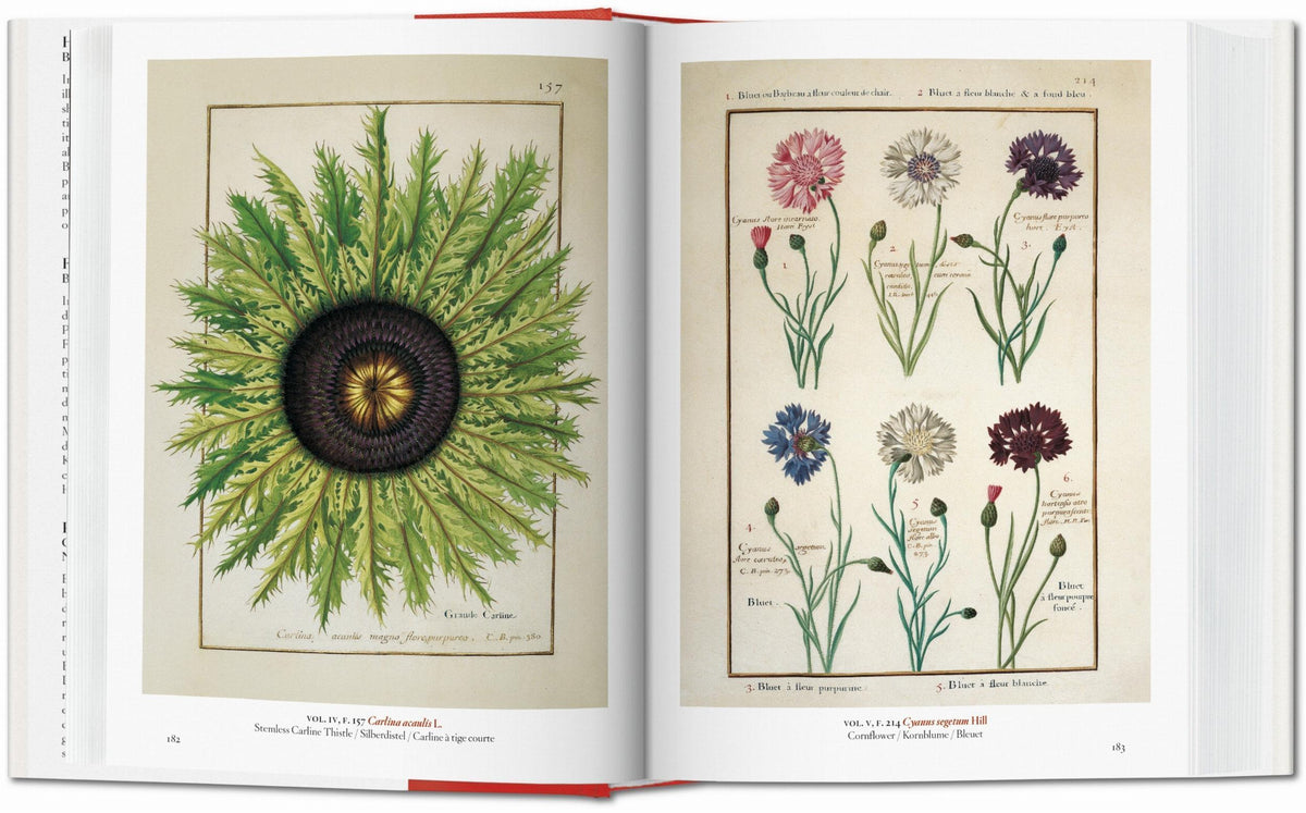 A garden eden book taschen