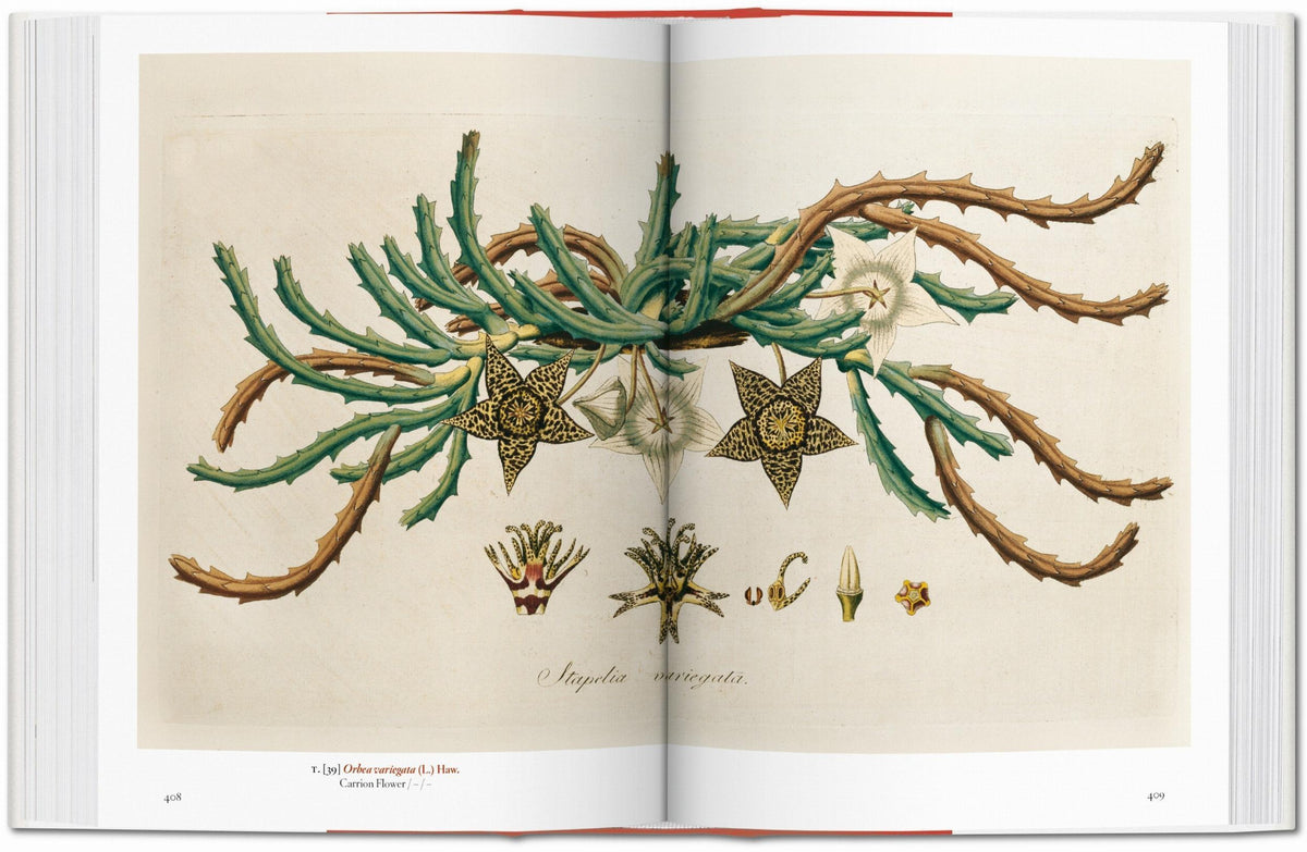 A garden eden book taschen
