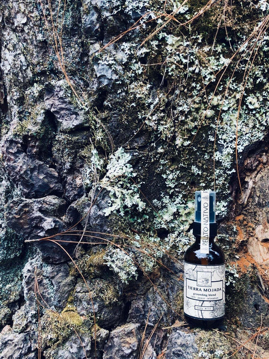 Tierra Mojada Body Mist.