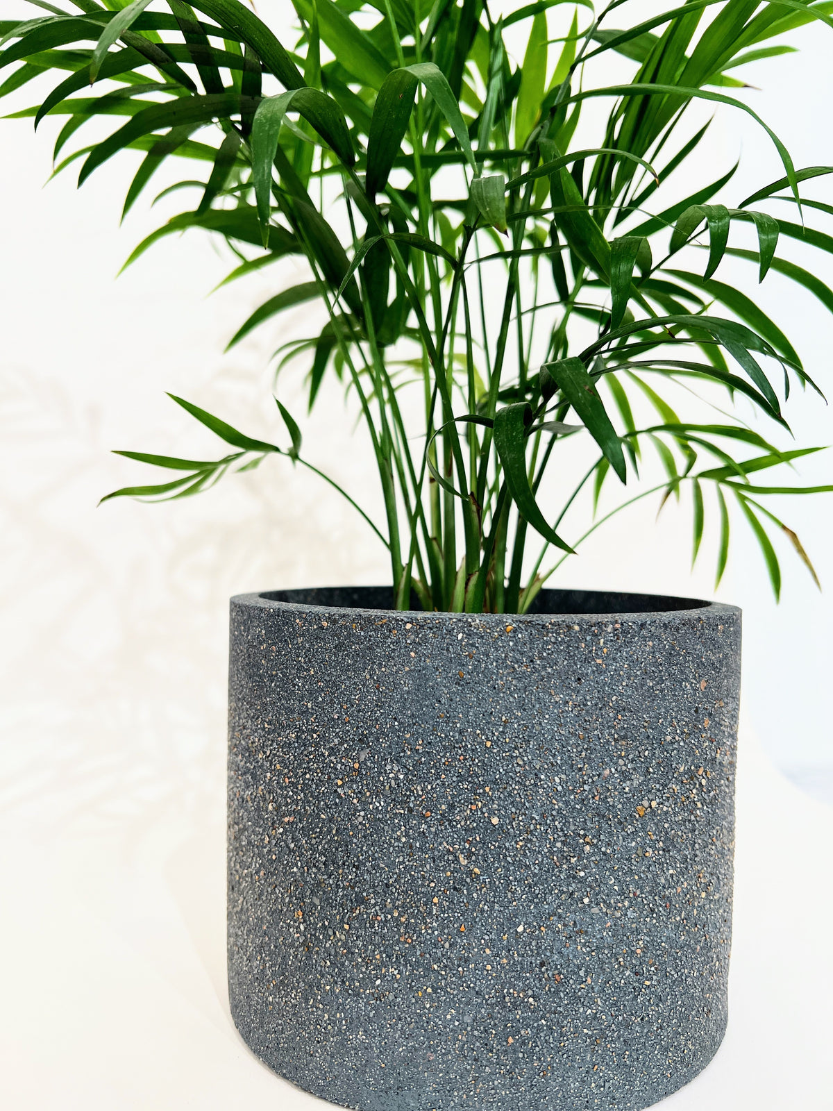Concrete Pots